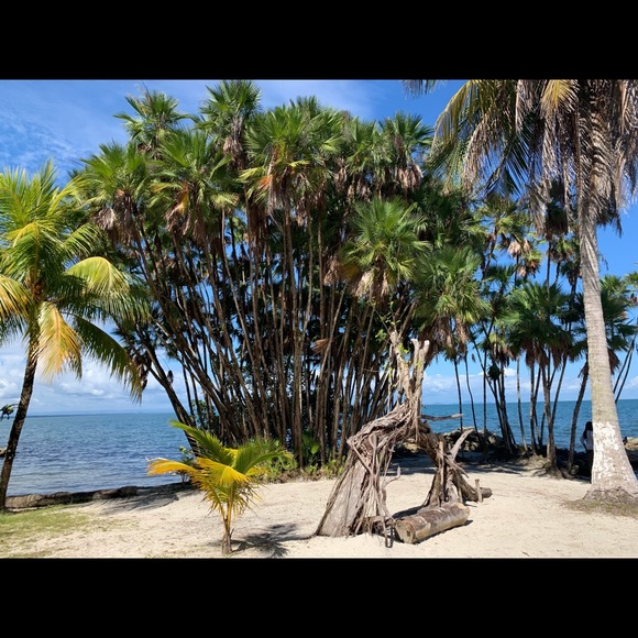 Meet your Posher, Priscila - Picture 1 of 1